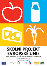 Školní projekty EU info