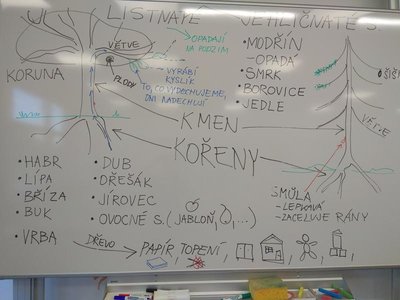 17.10.2017_Projektový den: STROMY na podzim