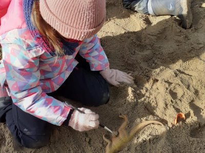 Paleontologické hřiště na zahradě ŠD