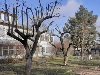 Revitalizace zahrady školní družiny