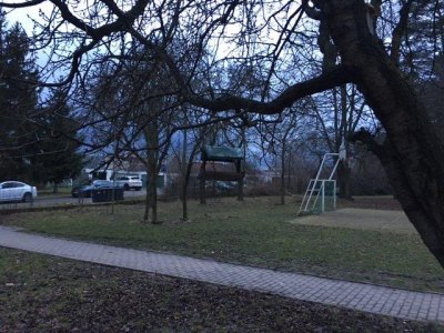Ptačí hodinka - sčítání ptactva