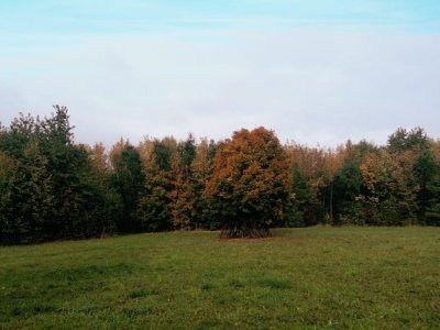 Podzimní procházka
