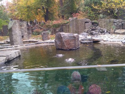 Výlet do Zoologické zahrady v Praze