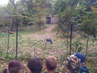 Výlet do Zoologické zahrady v Praze