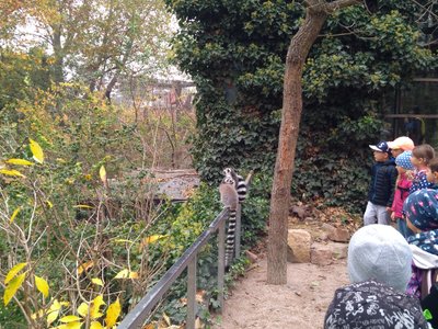 Výlet do Zoologické zahrady v Praze
