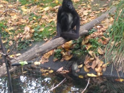 Výlet do Zoologické zahrady v Praze