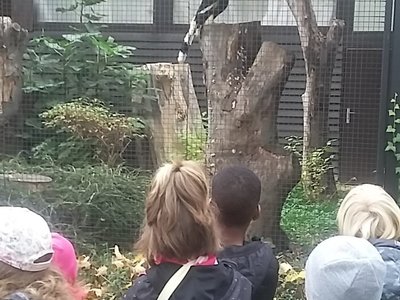 Výlet do Zoologické zahrady v Praze