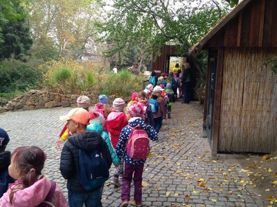 Výlet do Zoologické zahrady v Praze