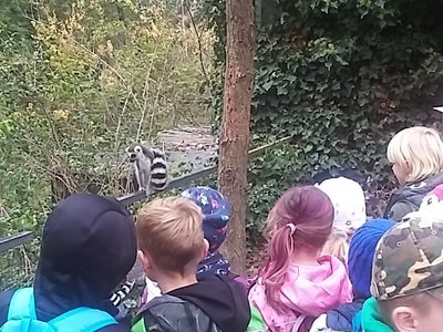 Výlet do Zoologické zahrady v Praze