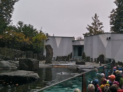 výlet do Zoologické Zahrady v Praha