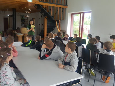 Prales - medový život včel