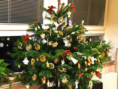 Vánoční stromeček a výzdoba třídy v souladu s přírodou