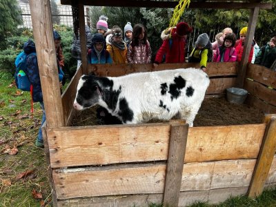 Za zvířátky i kouskem něčeho sladkého