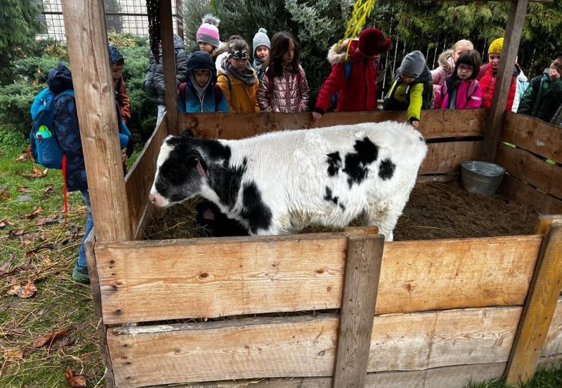 Za zvířátky i kouskem něčeho sladkého