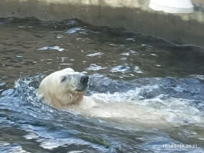 Druháci v pražské ZOO