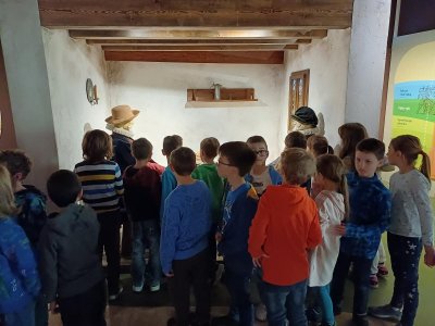 muzeum