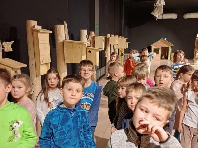 muzeum