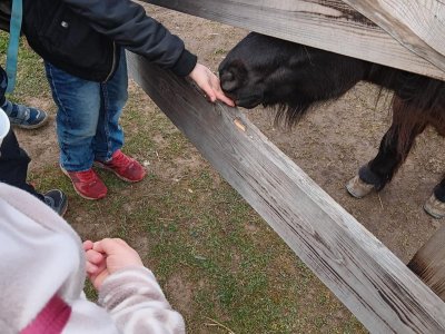 zoopark