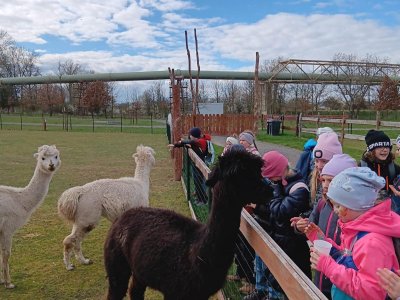 zoopark