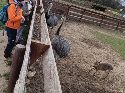 zoopark