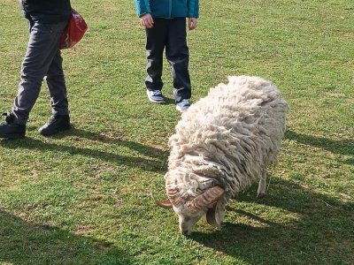 zoopark
