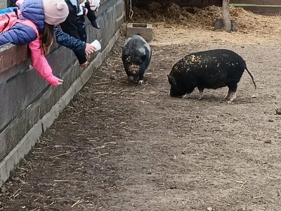 zoopark