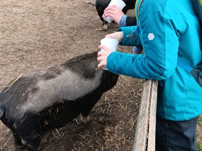zoopark