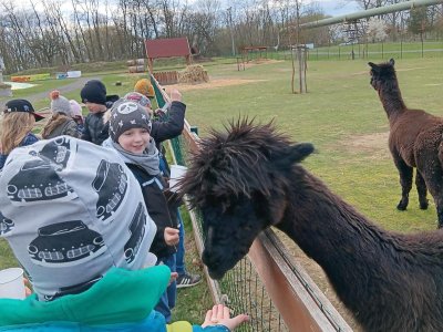 zoopark