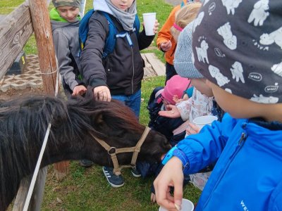 zoopark