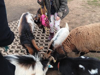 zoopark