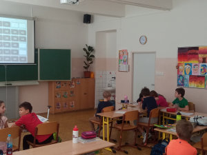 Závěrečné shrnutí vzorů rodu středního