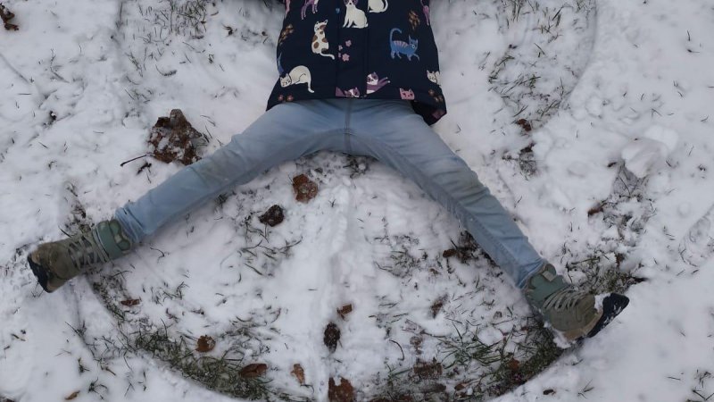 Vánoční výstava na ctěnickém zámku