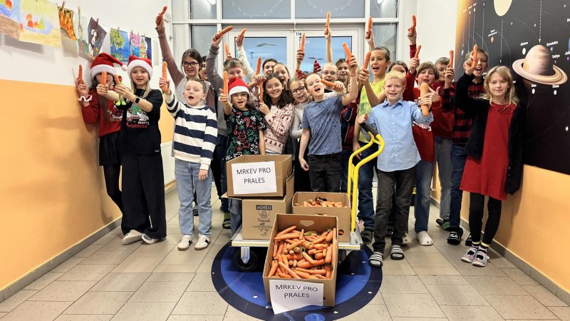 Sbírka Mrkev pro Prales se zdařila