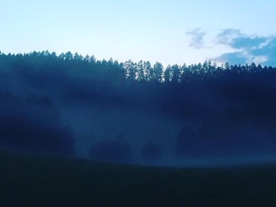 Domácí učení