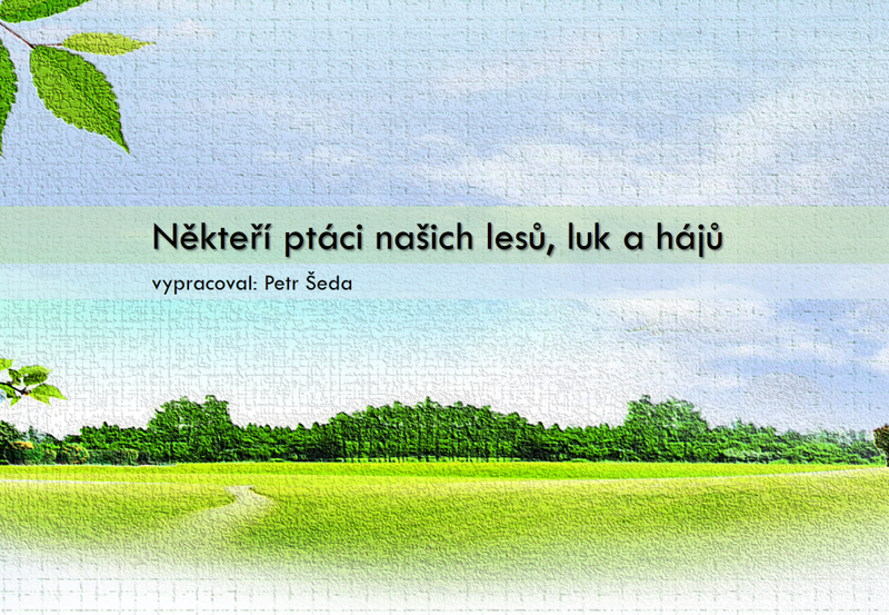 Přírodověda - někteří ptáci našich lesů, luk a hájů