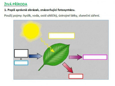 Přírodověda shrnutí 4. ročníku v pracovních listech