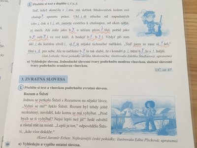 A došlo i na práci v pracovním sešitě.