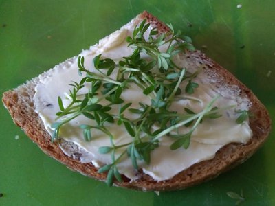 Mňam